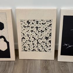 3x Canvas Art 24 X 16