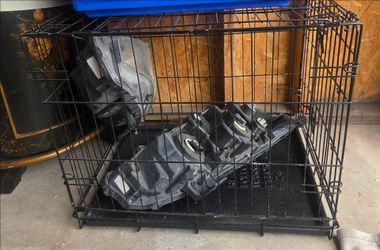 Medium Black Wire Dog Crate