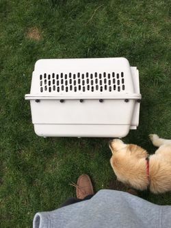 Small dog crate. Our puppy’s are too big now