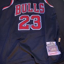 Jordan Bulls  Jersey Size Large $100 Obo Cash Only 