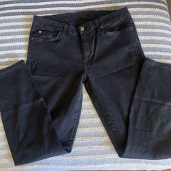 7 For all Mankind Skinny Jeans
