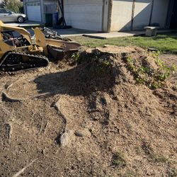 Stump Grinding 