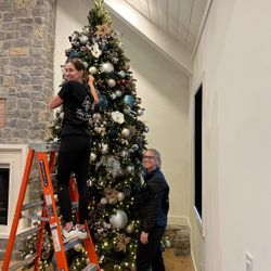 Balsam Hill 12ft Vermont White Spruce 