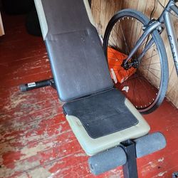 Exercise Bench