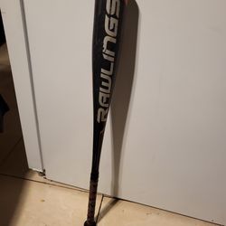 Young Baseball Bat "29"