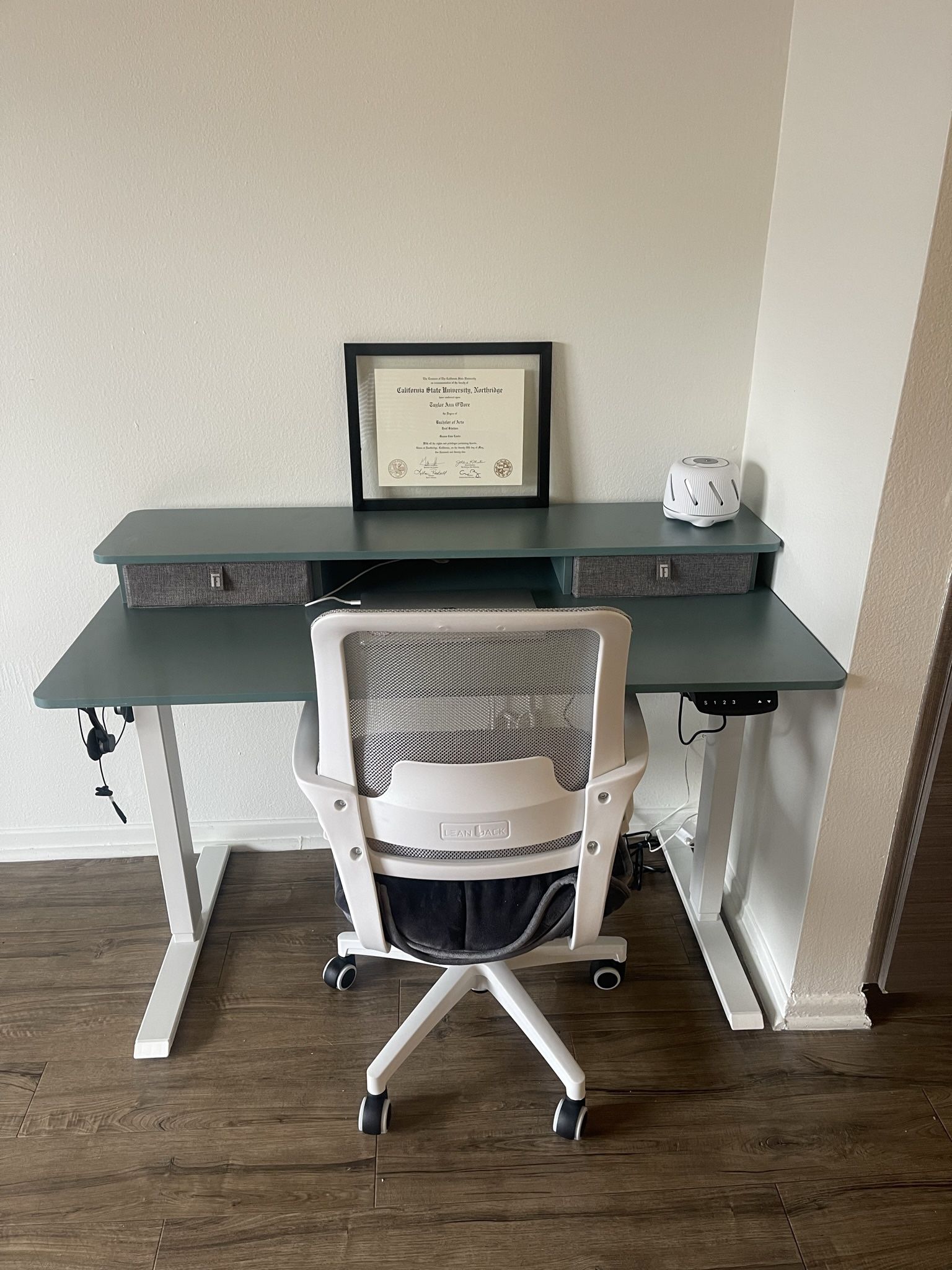 Electric Standing Desk