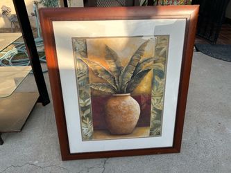 Plant Framed Wall Art Print