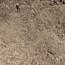 FREE SOIL POTTING PLANTING GARDEN DIRT