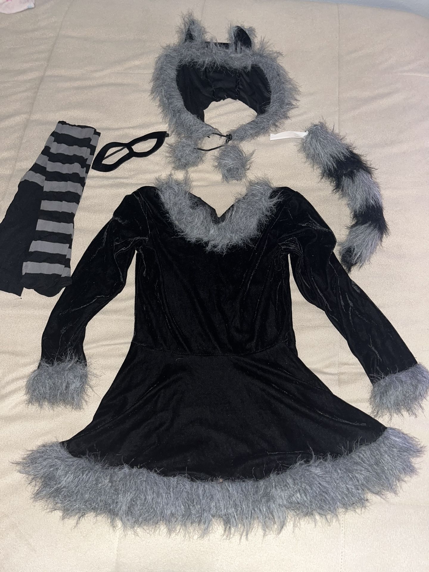 Racoon Halloween Costume