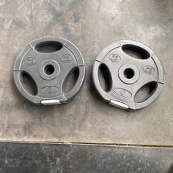 2.5LB (2) Plastic Black Weights