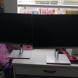 HP Elite E233 Monitors (2 Monitors)