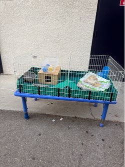 Rabbit enclosure