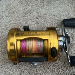 Penn international reels