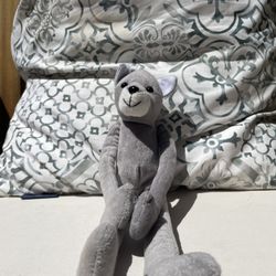 Grey Wolf (Great Wolf Lodge)