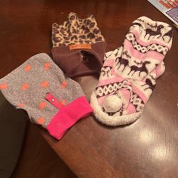 Puppy Sweaters 