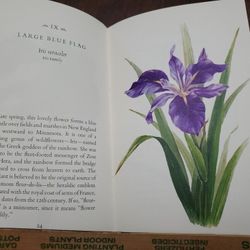 Vintage Book: Beautiful Wildflowers, Hallmark Edition 