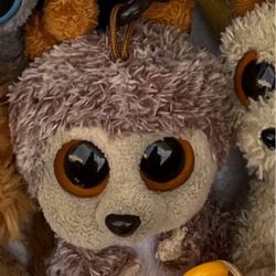 Spike The Hedgehog Beanie Boo