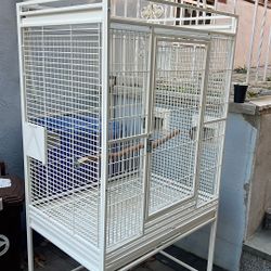 Bird Cage