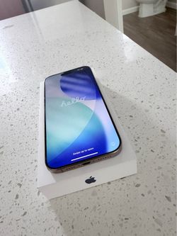 iPhone  16 Pro Max Unlocked