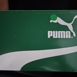 Puma Shoe 
