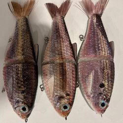 TYG Silencer Shad Glide bait swimbait