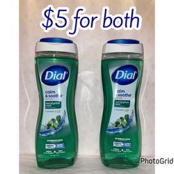 (2) Dial Body Wash 14 Oz Each