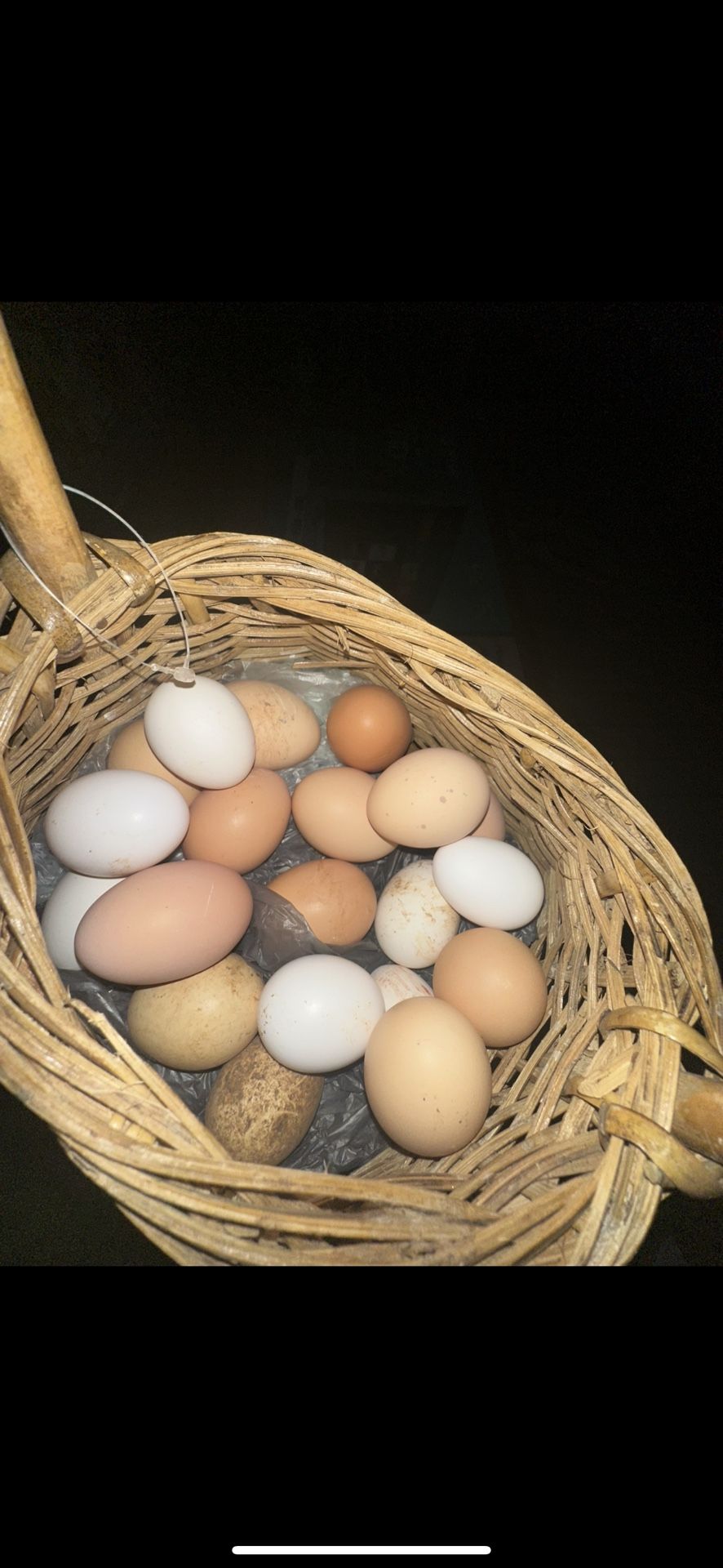 FRESH HOMEGROWN CHICKEN EGGS 1DOZEN