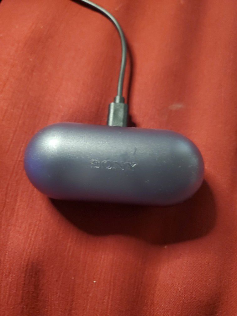 Sony Earbud Rechargeable Case WF-C500