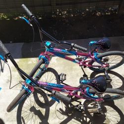 Bikes For Girls 20 Inches With Training Wheels