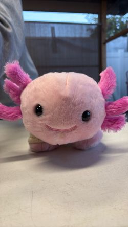 Cute Axolotl Plushie w sweater