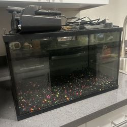 10 Gallon Fish Tank w/ Accessories 