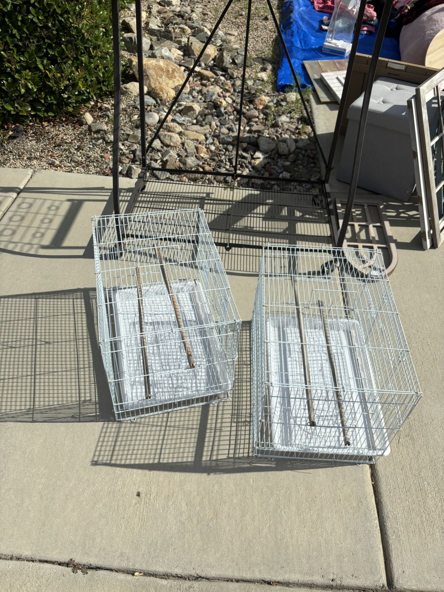 Bird Cages