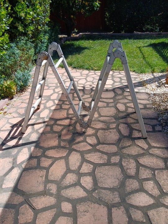 Folding Ladder
