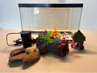 Tank fish 5 gallon