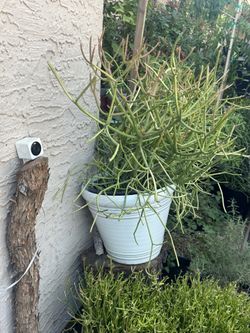 Fire stick