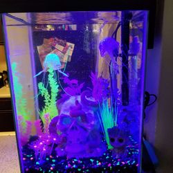 10 Gallon Column Fish Tank