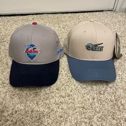 Pink Dolphin Hat