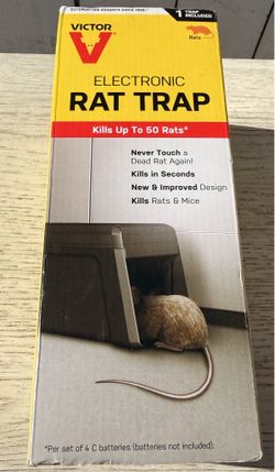 Rat Trap