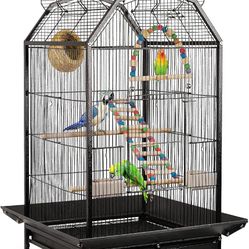 Bird Cage 