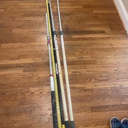 Painting Extension Poles