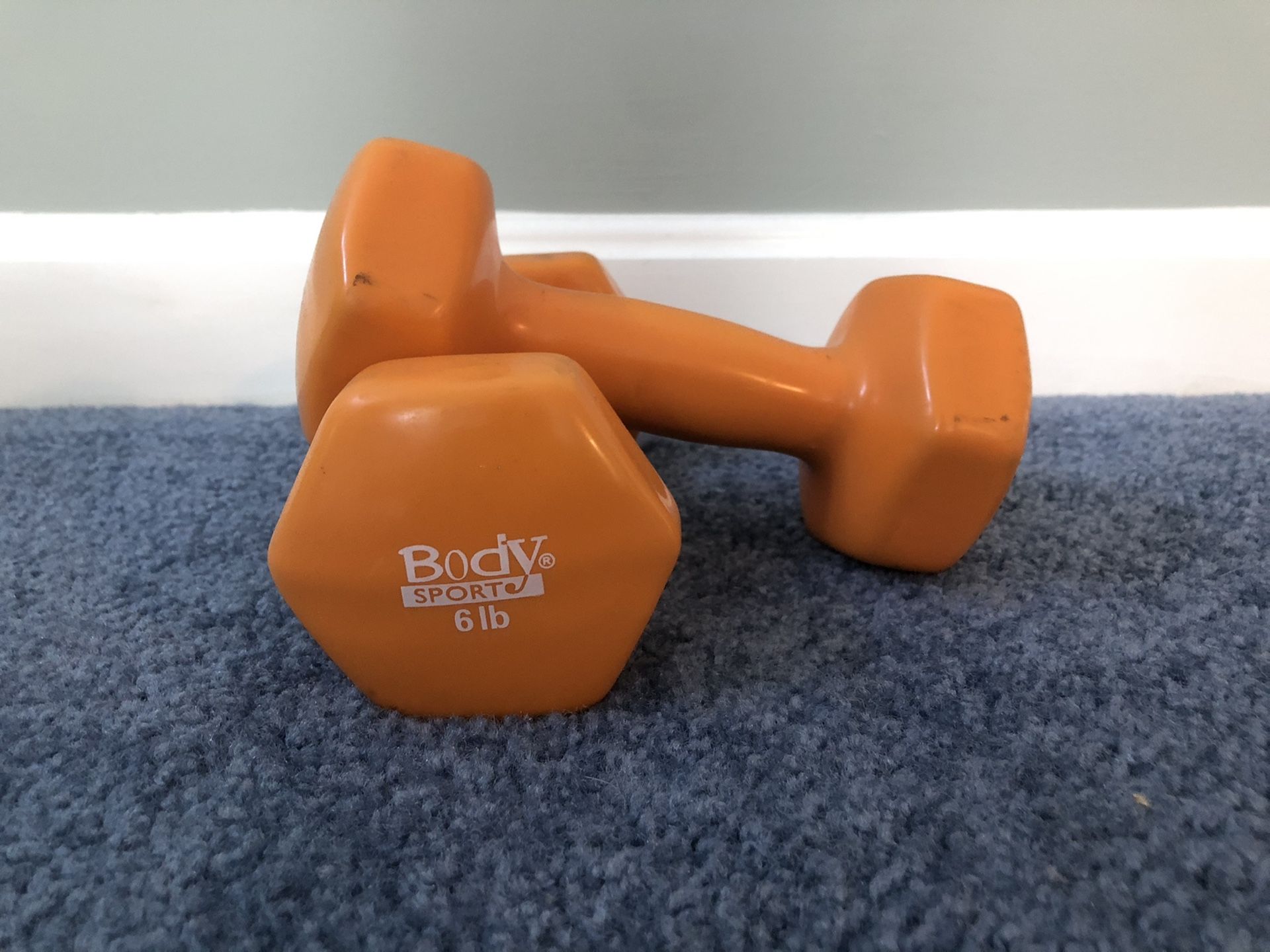 6lb Dumbbells (come in pairs)