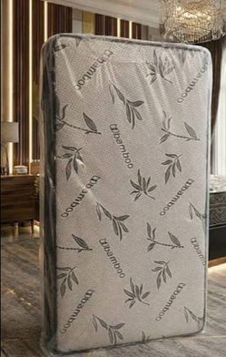 $180 twin mattress with box spring