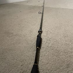 Daiwa Fishing Rod