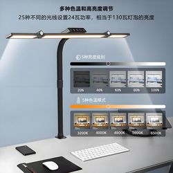 Dual-Head LED Desk Lamp with Clamp