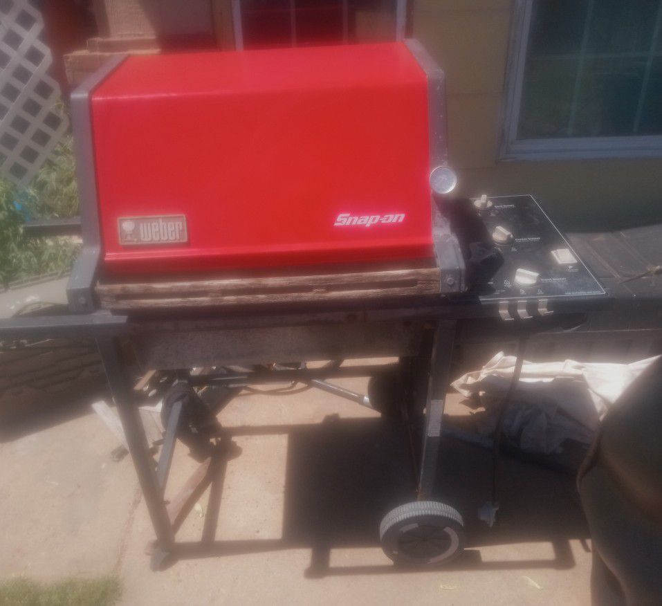 Snap on grill 