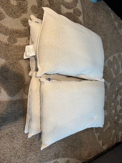 Seally pillows