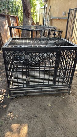 Dog kennels large
