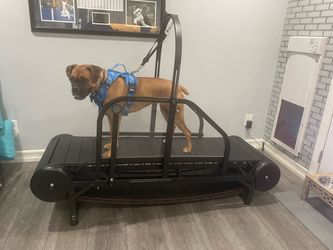 Dog Treadmill / Slatmill – Medium & Large Dogs – Like New