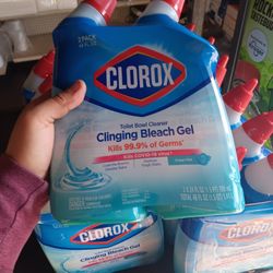 Clorox Toilet Bowl Cleaner 