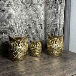 ✨ Golden Owl Family Set – Elegant & Heartwarming Home Decor! Only $15 💛